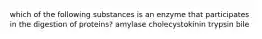 which of the following substances is an enzyme that participates in the digestion of proteins? amylase cholecystokinin trypsin bile