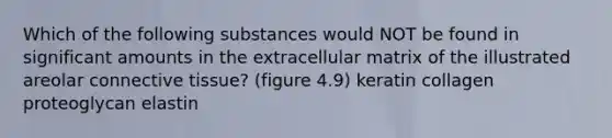 Which of the following substances would NOT be found in significant amounts in the extracellular matrix of the illustrated areolar connective tissue? (figure 4.9) keratin collagen proteoglycan elastin