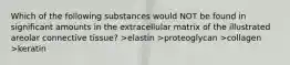 Which of the following substances would NOT be found in significant amounts in the extracellular matrix of the illustrated areolar connective tissue? >elastin >proteoglycan >collagen >keratin