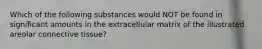 Which of the following substances would NOT be found in significant amounts in the extracellular matrix of the illustrated areolar connective tissue?