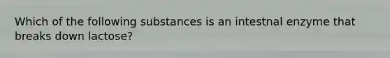 Which of the following substances is an intestnal enzyme that breaks down lactose?