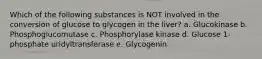 Which of the following substances is NOT involved in the conversion of glucose to glycogen in the liver? a. Glucokinase b. Phosphoglucomutase c. Phosphorylase kinase d. Glucose 1-phosphate uridyltransferase e. Glycogenin