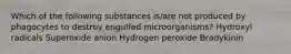 Which of the following substances is/are not produced by phagocytes to destroy engulfed microorganisms? Hydroxyl radicals Superoxide anion Hydrogen peroxide Bradykinin