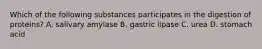 Which of the following substances participates in the digestion of proteins? A. salivary amylase B. gastric lipase C. urea D. stomach acid