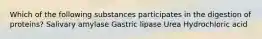 Which of the following substances participates in the digestion of proteins? Salivary amylase Gastric lipase Urea Hydrochloric acid