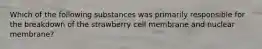 Which of the following substances was primarily responsible for the breakdown of the strawberry cell membrane and nuclear membrane?