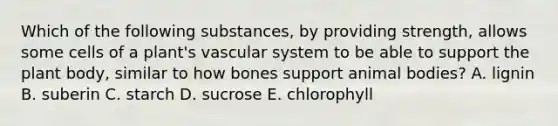 Which of the following substances, by providing strength, allows some cells of a plant's vascular system to be able to support the plant body, similar to how bones support animal bodies? A. lignin B. suberin C. starch D. sucrose E. chlorophyll