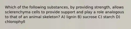 Which of the following substances, by providing strength, allows sclerenchyma cells to provide support and play a role analogous to that of an animal skeleton? A) lignin B) sucrose C) starch D) chlorophyll