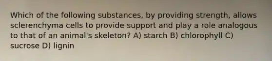 Which of the following substances, by providing strength, allows sclerenchyma cells to provide support and play a role analogous to that of an animal's skeleton? A) starch B) chlorophyll C) sucrose D) lignin