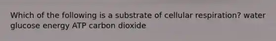 Which of the following is a substrate of cellular respiration? water glucose energy ATP carbon dioxide