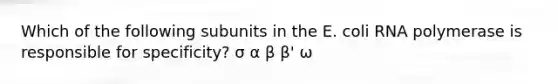 Which of the following subunits in the E. coli RNA polymerase is responsible for specificity? σ α β β' ω