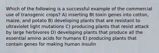 Which of the following is a successful example of the commercial use of transgenic crops? A) inserting Bt toxin genes into cotton, maize, and potato B) developing plants that are resistant to ultraviolet light mutations C) producing plants that resist attack by large herbivores D) developing plants that produce all the essential amino acids for humans E) producing plants that contain genes for making human insulin