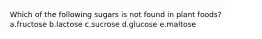 Which of the following sugars is not found in plant foods? a.fructose b.lactose c.sucrose d.glucose e.maltose