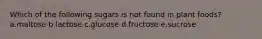 Which of the following sugars is not found in plant foods? a.maltose b.lactose c.glucose d.fructose e.sucrose
