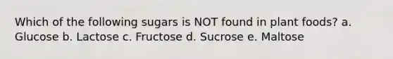 Which of the following sugars is NOT found in plant foods? a. Glucose b. Lactose c. Fructose d. Sucrose e. Maltose