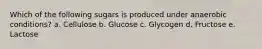 Which of the following sugars is produced under anaerobic conditions? a. Cellulose b. Glucose c. Glycogen d. Fructose e. Lactose