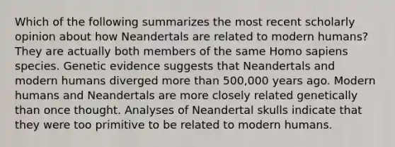 Which of the following summarizes the most recent scholarly opinion about how Neandertals are related to modern humans? They are actually both members of the same Homo sapiens species. Genetic evidence suggests that Neandertals and modern humans diverged more than 500,000 years ago. Modern humans and Neandertals are more closely related genetically than once thought. Analyses of Neandertal skulls indicate that they were too primitive to be related to modern humans.