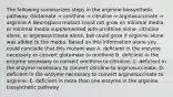 The following summarizes steps in the arginine biosynthetic pathway: Glutamate ⇒ ornithine ⇒ citruline ⇒ arginosuccinate ⇒ arginine A Neurospora mutant could not grow on minimal media, or minimal media supplemented with ornithine alone, citruline alone, or arginosuccinate alone, but could grow if arginine alone was added to the media. Based on this information alone you could conclude that this mutant was A. deficient in the enzyme necessary to convert glutamate to ornithine B. deficient in the enzyme necessary to convert ornithine to citruline. C. deficient in the enzyme necessary to convert citruline to arginosuccinate. D. deficient in the enzyme necessary to convert arginosuccinate to arginine. E. deficient in more than one enzyme in the arginine biosynthetic pathway.