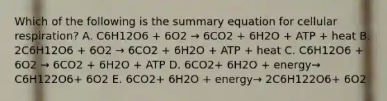 Which of the following is the summary equation for cellular respiration? A. C6H12O6 + 6O2 → 6CO2 + 6H2O + ATP + heat B. 2C6H12O6 + 6O2 → 6CO2 + 6H2O + ATP + heat C. C6H12O6 + 6O2 → 6CO2 + 6H2O + ATP D. 6CO2+ 6H2O + energy→ C6H122O6+ 6O2 E. 6CO2+ 6H2O + energy→ 2C6H122O6+ 6O2