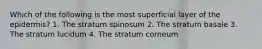 Which of the following is the most superficial layer of the epidermis? 1. The stratum spinosum 2. The stratum basale 3. The stratum lucidum 4. The stratum corneum