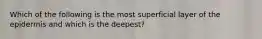 Which of the following is the most superficial layer of the epidermis and which is the deepest?