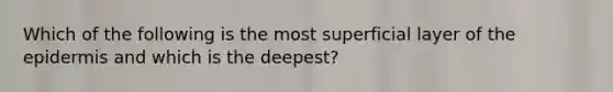 Which of the following is the most superficial layer of the epidermis and which is the deepest?