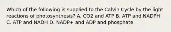 Which of the following is supplied to the Calvin Cycle by the <a href='https://www.questionai.com/knowledge/kSUoWrrvoC-light-reactions' class='anchor-knowledge'>light reactions</a> of photosynthesis? A. CO2 and ATP B. ATP and NADPH C. ATP and NADH D. NADP+ and ADP and phosphate