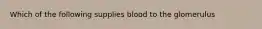 Which of the following supplies blood to the glomerulus