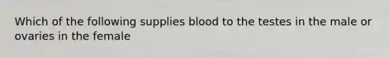 Which of the following supplies blood to the testes in the male or ovaries in the female