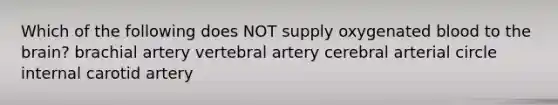 Which of the following does NOT supply oxygenated blood to the brain? brachial artery vertebral artery cerebral arterial circle internal carotid artery