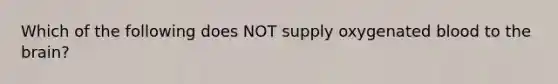 Which of the following does NOT supply oxygenated blood to the brain?