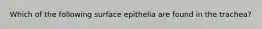 Which of the following surface epithelia are found in the trachea?