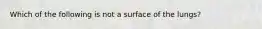 Which of the following is not a surface of the lungs?