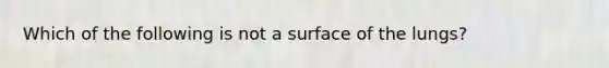 Which of the following is not a surface of the lungs?