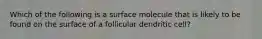 Which of the following is a surface molecule that is likely to be found on the surface of a follicular dendritic cell?