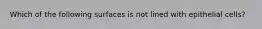 Which of the following surfaces is not lined with epithelial cells?