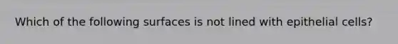 Which of the following surfaces is not lined with epithelial cells?