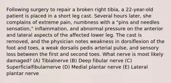 Following surgery to repair a broken right tibia, a 22-year-old patient is placed in a short leg cast. Several hours later, she complains of extreme pain, numbness with a "pins and needles sensation," inflammation, and abnormal pressure on the anterior and lateral aspects of the affected lower leg. The cast is removed, and the physician notes weakness in dorsiflexion of the foot and toes, a weak dorsalis pedis arterial pulse, and sensory loss between the first and second toes. What nerve is most likely damaged? (A) Tibialnerve (B) Deep fibular nerve (C) Superficialfibularnerve (D) Medial plantar nerve (E) Lateral plantar nerve