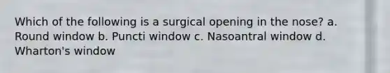 Which of the following is a surgical opening in the nose? a. Round window b. Puncti window c. Nasoantral window d. Wharton's window