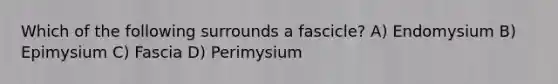 Which of the following surrounds a fascicle? A) Endomysium B) Epimysium C) Fascia D) Perimysium