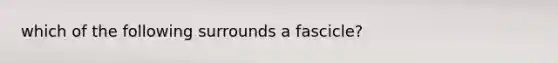 which of the following surrounds a fascicle?