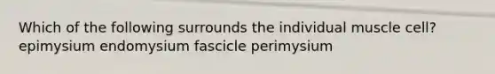 Which of the following surrounds the individual muscle cell? epimysium endomysium fascicle perimysium