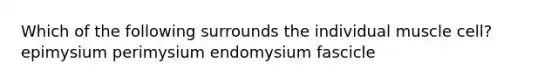 Which of the following surrounds the individual muscle cell? epimysium perimysium endomysium fascicle