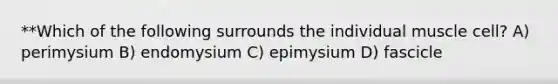 **Which of the following surrounds the individual muscle cell? A) perimysium B) endomysium C) epimysium D) fascicle