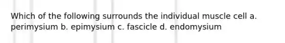 Which of the following surrounds the individual muscle cell a. perimysium b. epimysium c. fascicle d. endomysium