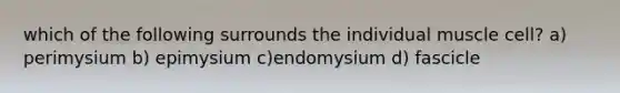 which of the following surrounds the individual muscle cell? a) perimysium b) epimysium c)endomysium d) fascicle