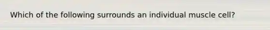 Which of the following surrounds an individual muscle cell?
