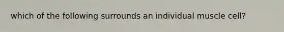which of the following surrounds an individual muscle cell?