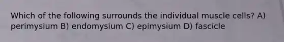 Which of the following surrounds the individual muscle cells? A) perimysium B) endomysium C) epimysium D) fascicle