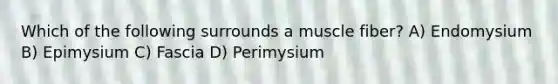 Which of the following surrounds a muscle fiber? A) Endomysium B) Epimysium C) Fascia D) Perimysium